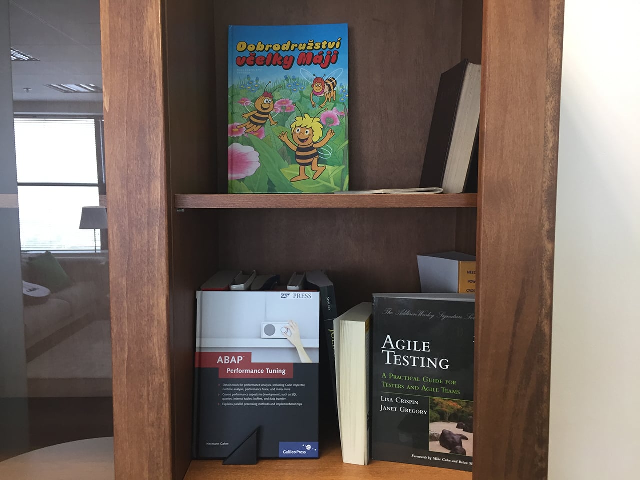 Vývojové centrum SAP v Brně