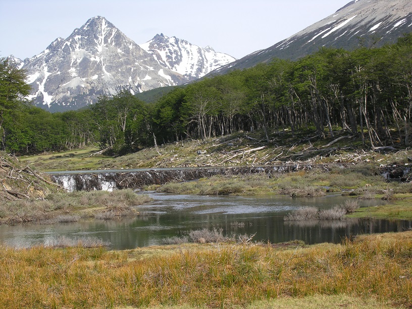 Bobří hráz cestou k Laguna Esmeralda.