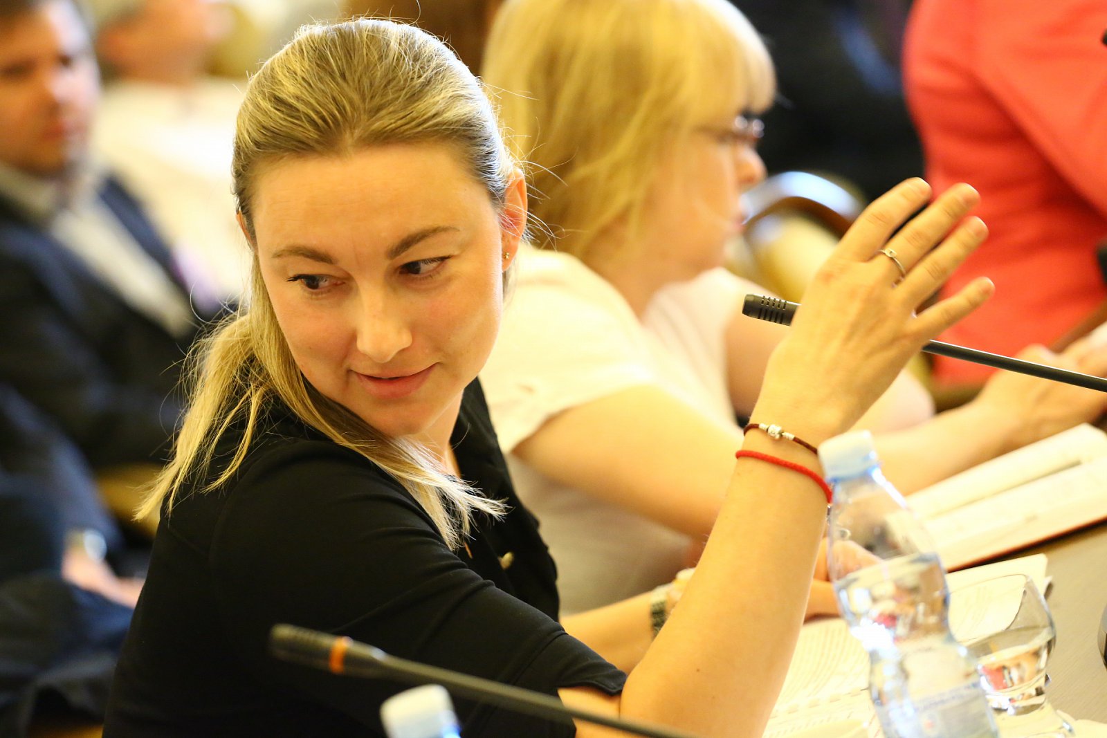 Ostře sledované jednání Volebního výboru sněmovny 3. června 2015