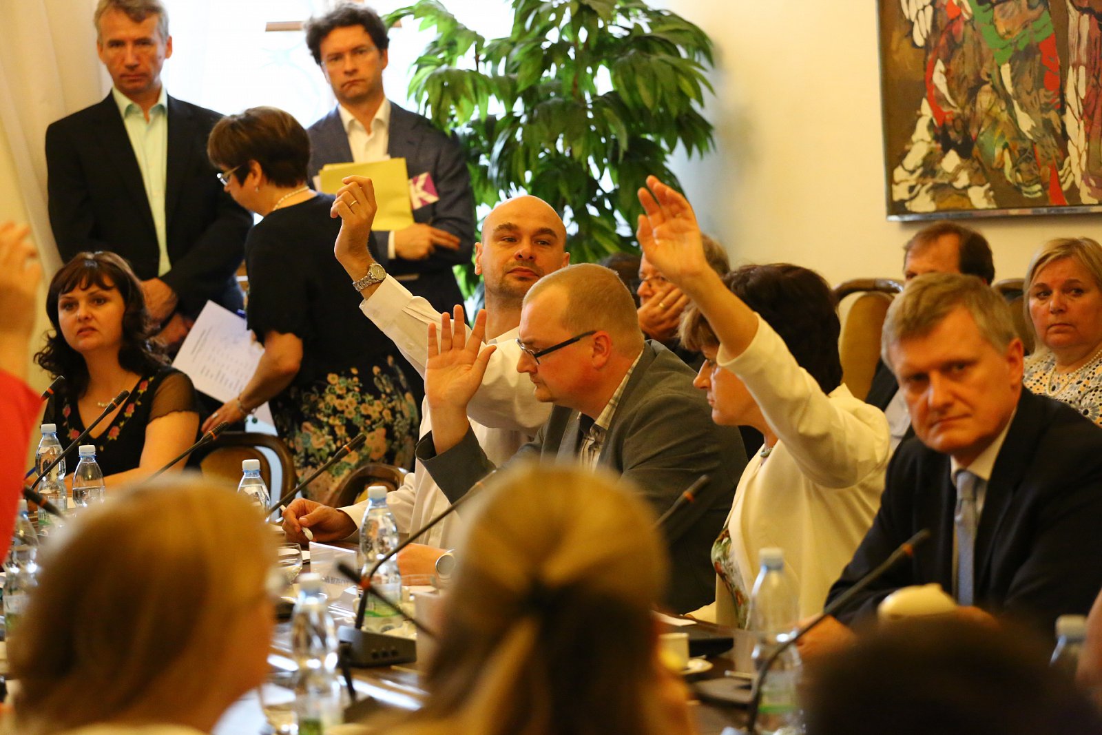 Ostře sledované jednání Volebního výboru sněmovny 3. června 2015