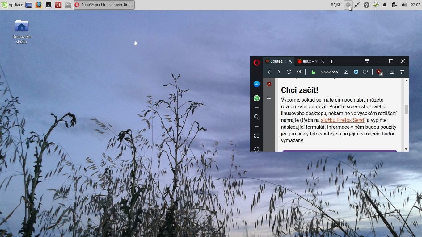 večerní letní louka