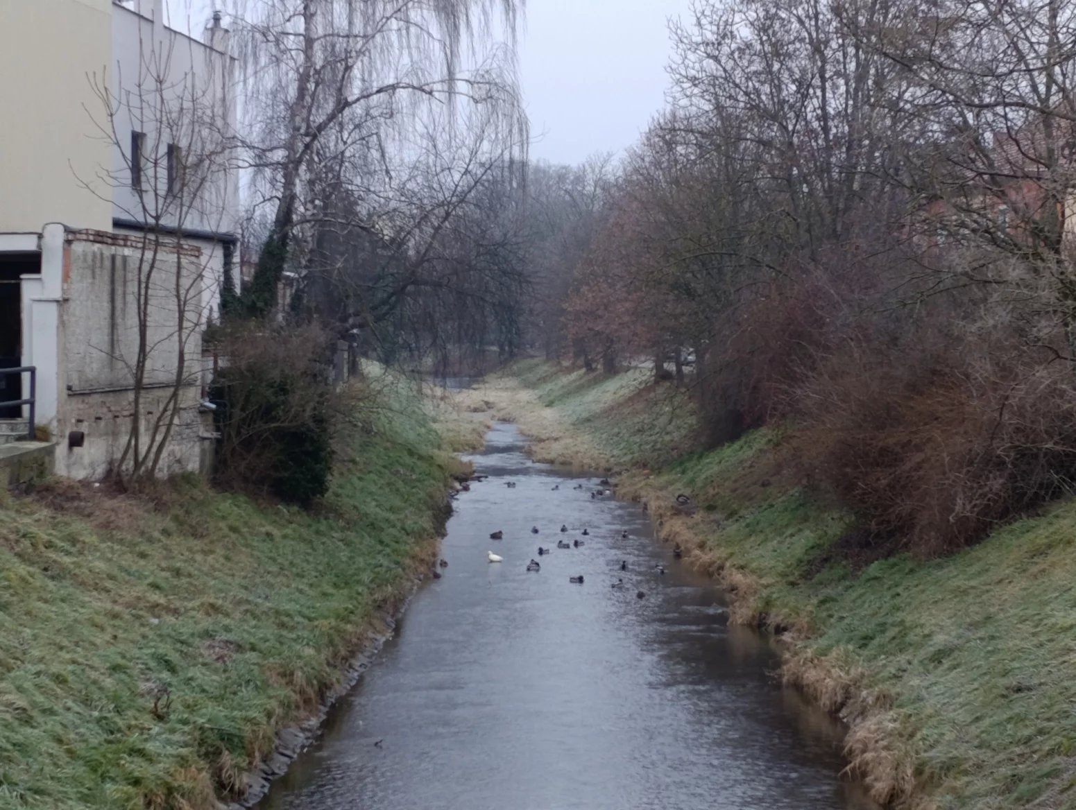 Xiaomi Redmi Note 14 Pro