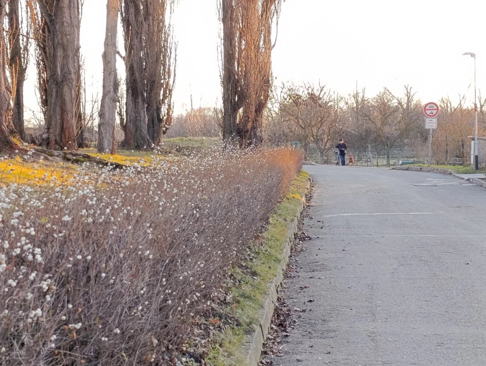 Xiaomi Redmi Note 14 Pro