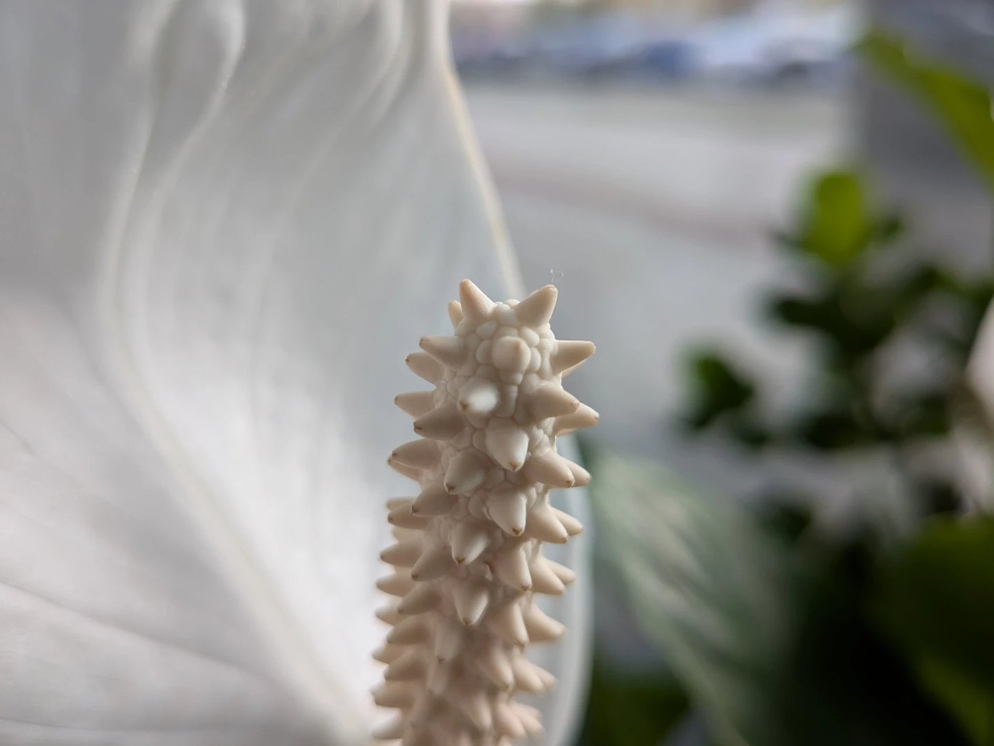 Google Pixel 9a - fotografie