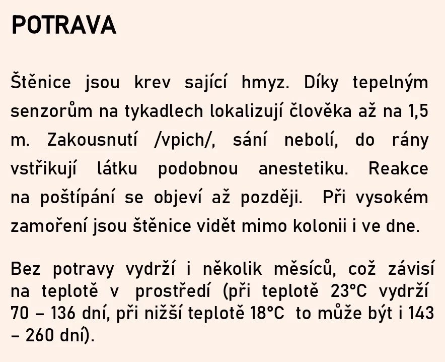 Kousnutí od štěnice nebolí, svědit začne až později