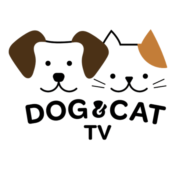 Dog & Cat TV