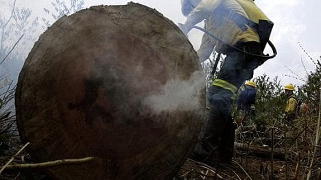 Náhledový obrázek - Vypalování lesů v Amazonii je výnosný ilegální obchod. Za tisíc hektarů se platí 5,6 milionu korun