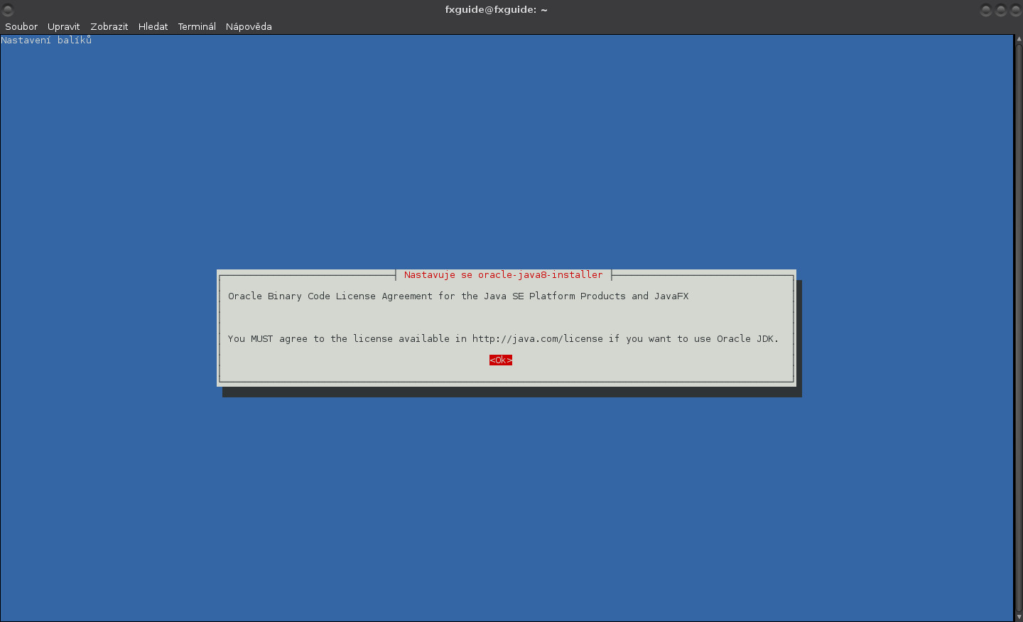 Příprava systému a instalace JDK