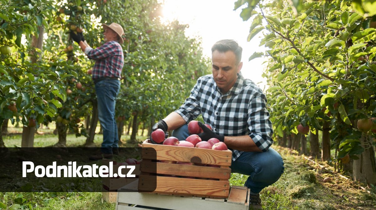 Od roku 2026 se zavádí nová sleva na pojistném pro sezónní práce na DPP