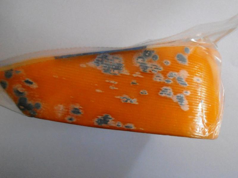 Nebezpečné sýry s viditelnou plísní neměly prošlé datum minimální trvanlivosti a byly skladovány při vyhovujících teplotních podmínkách
