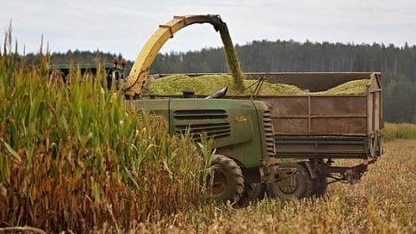 Náhledový obrázek - Po vzoru Německa. Čeští zemědělci chtějí na kompenzacích za sucho až 2,5 miliardy