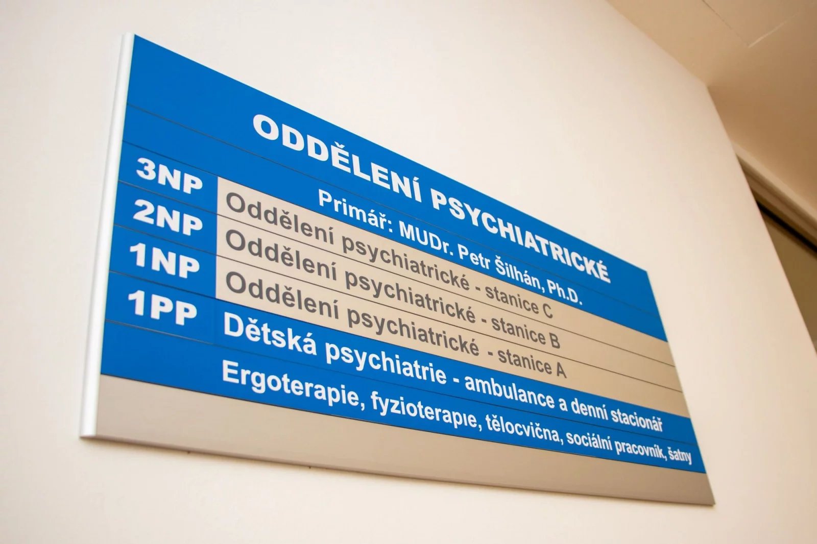 Dětem se po celý den věnuje multidisciplinární tým složený nejen z psychiatrů a psychologů, ale také speciálních pedagogů a sociálních pracovníků.