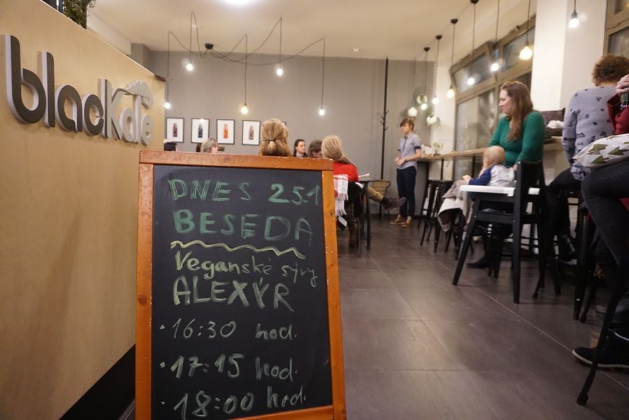 Vegan sýr Alexýr