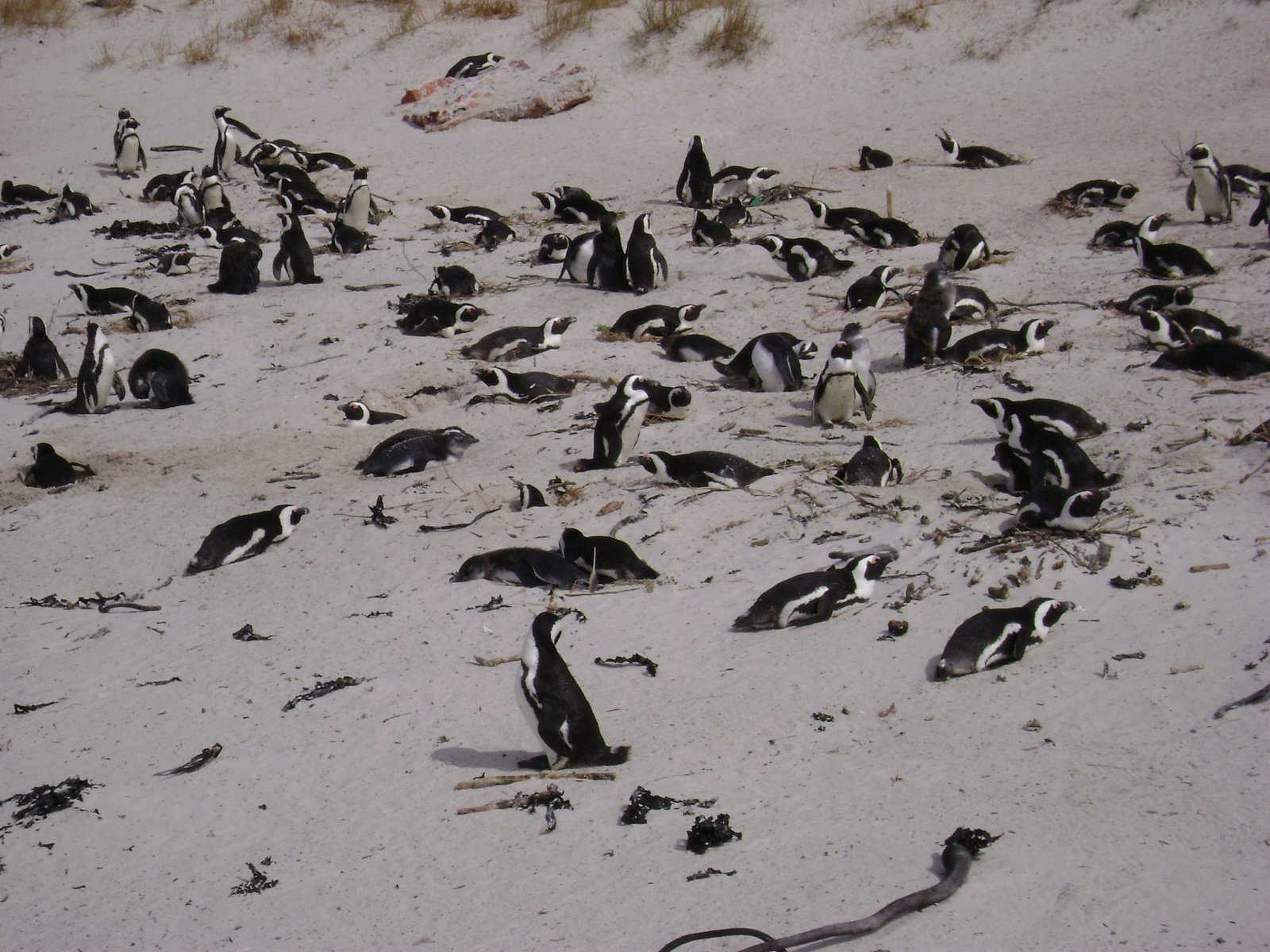 Cyklus Zázraky z říše zvířat na dokumentárním kanálu Prima Zoom