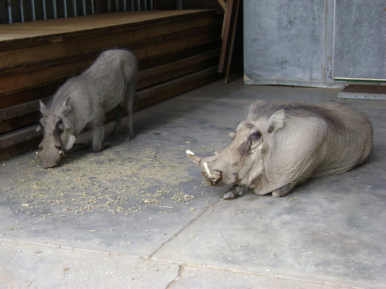 Cyklus Zázraky z říše zvířat na dokumentárním kanálu Prima Zoom