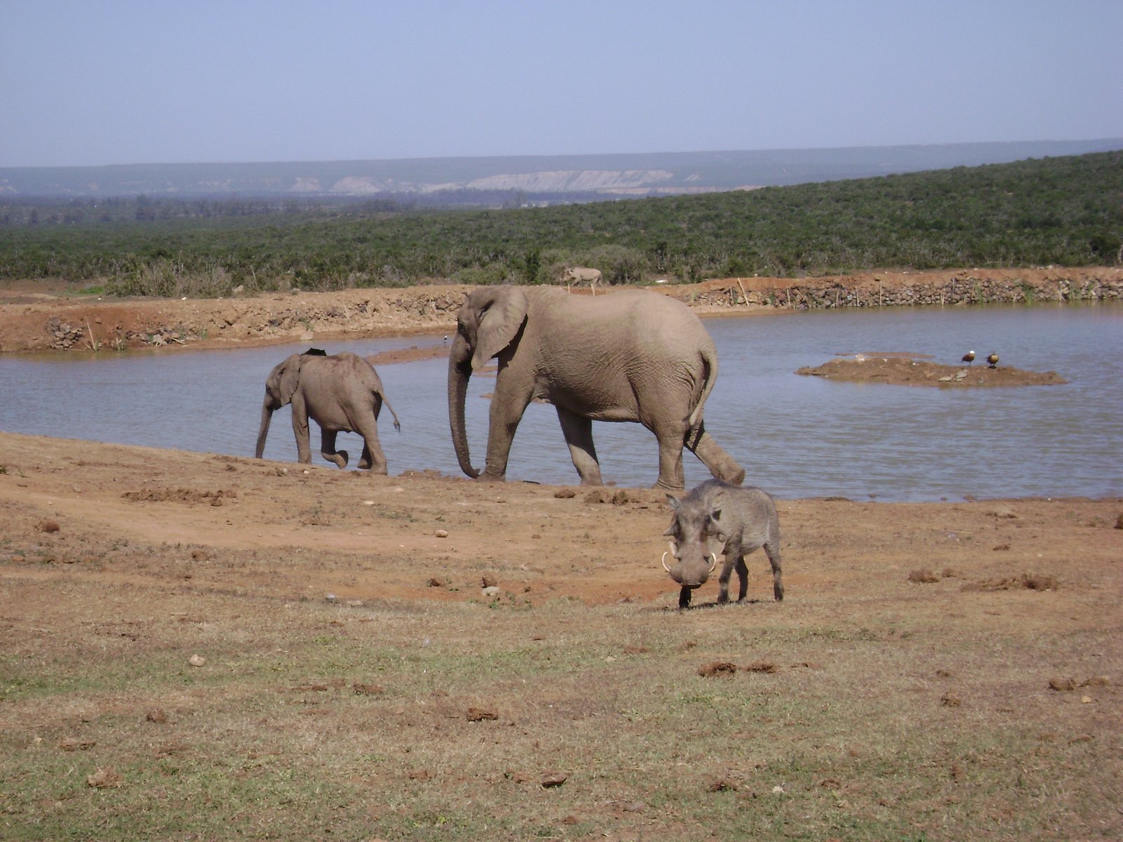 Cyklus Zázraky z říše zvířat na dokumentárním kanálu Prima Zoom