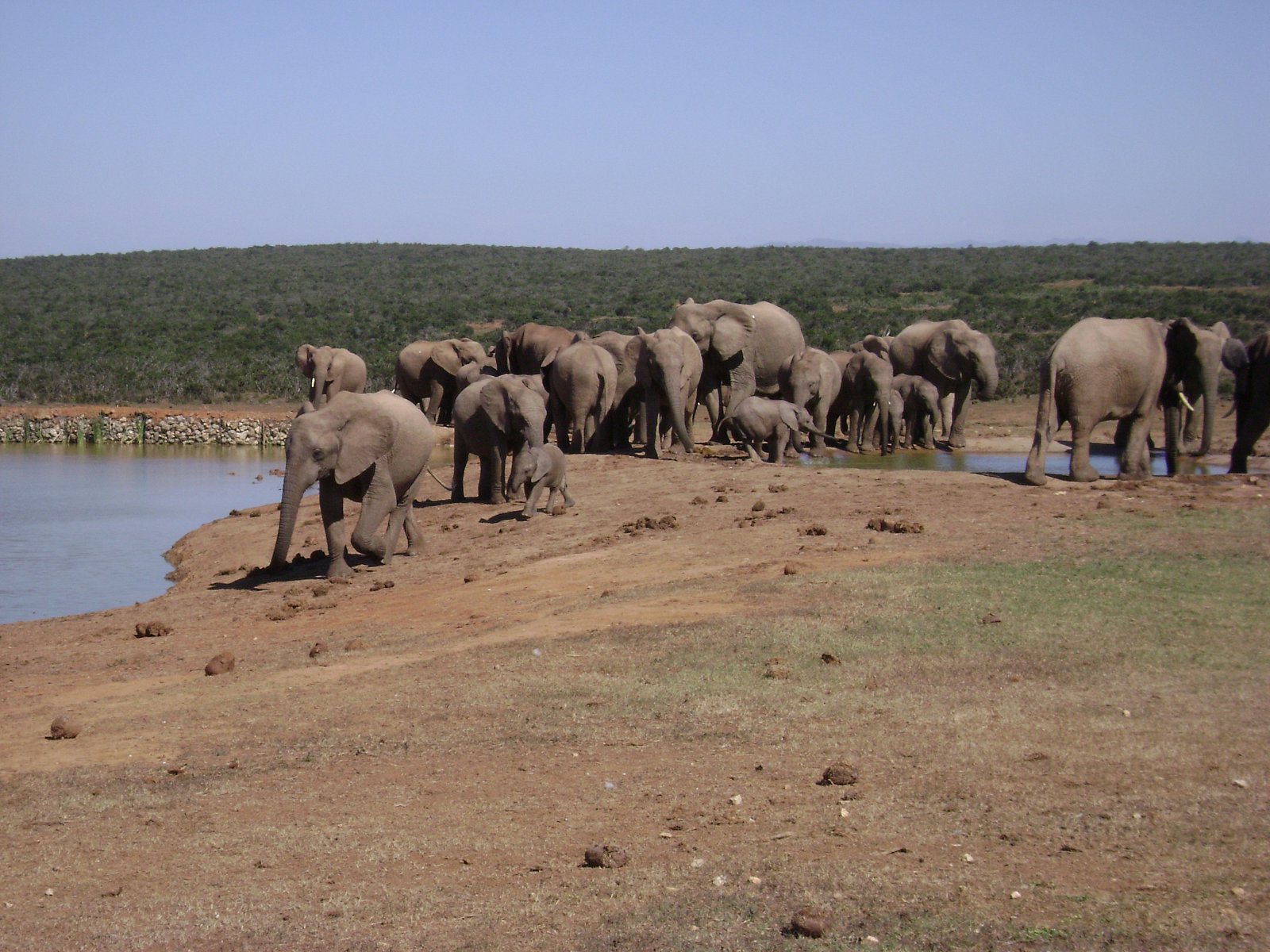 Cyklus Zázraky z říše zvířat na dokumentárním kanálu Prima Zoom