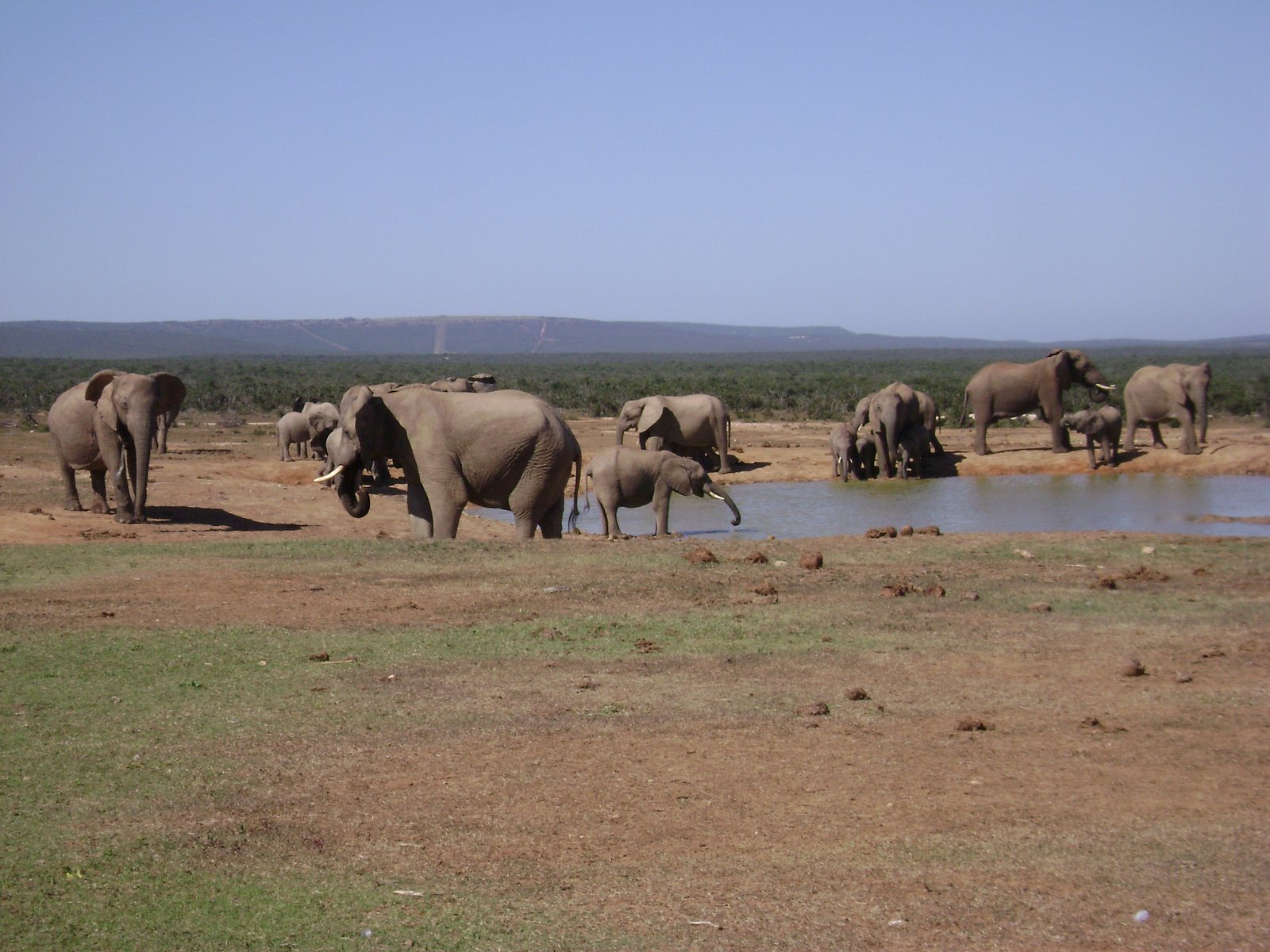 Cyklus Zázraky z říše zvířat na dokumentárním kanálu Prima Zoom