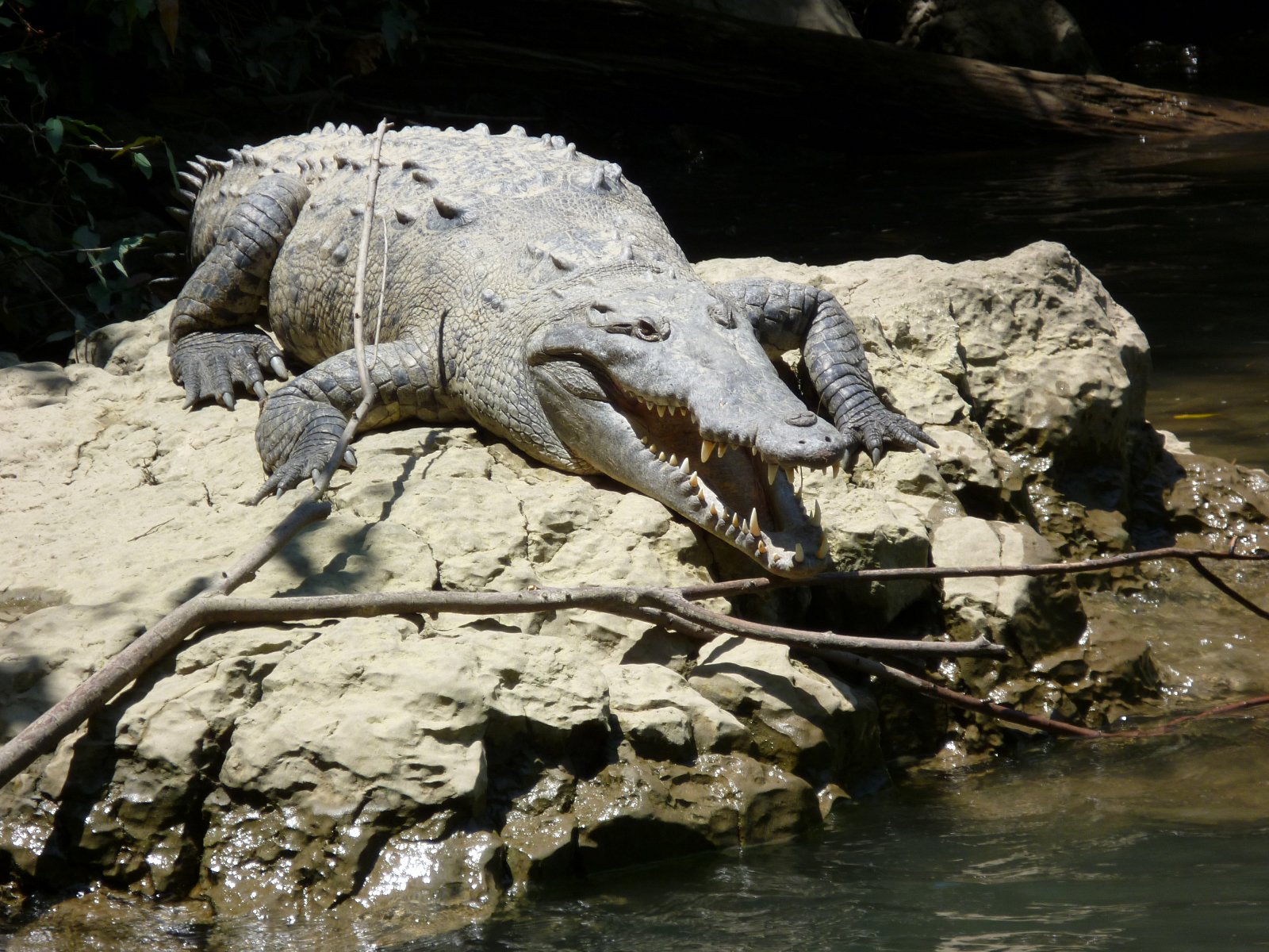 Cyklus Zázraky z říše zvířat na dokumentárním kanálu Prima Zoom