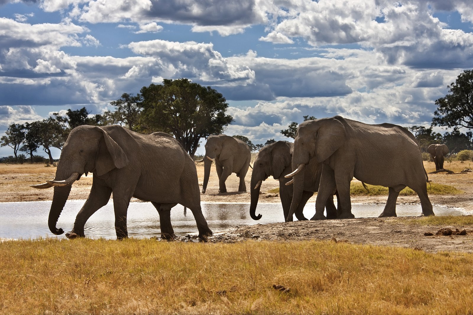 Cyklus Zázraky z říše zvířat na dokumentárním kanálu Prima Zoom