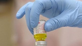 Náhledový obrázek - Brazílie čelí největší epidemii žluté zimnice od roku 2000