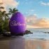 Kampaň Cadbury Worldwide Hide