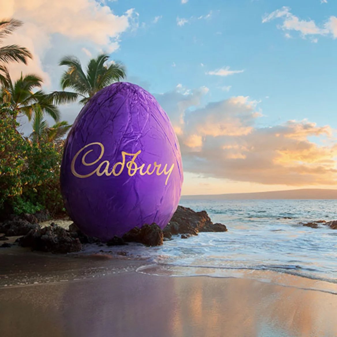 Kampaň Cadbury Worldwide Hide