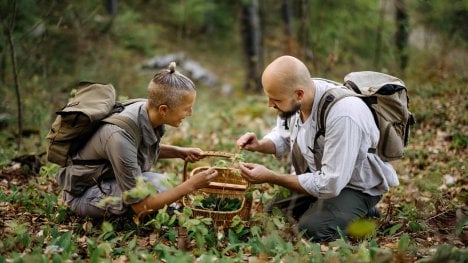 Místo suvenýrů nové zkušenosti. Nastupuje éra „dovedovolených“, Češi se chtějí místo odpočinku učit jazyky, jógu nebo vařit s místními
