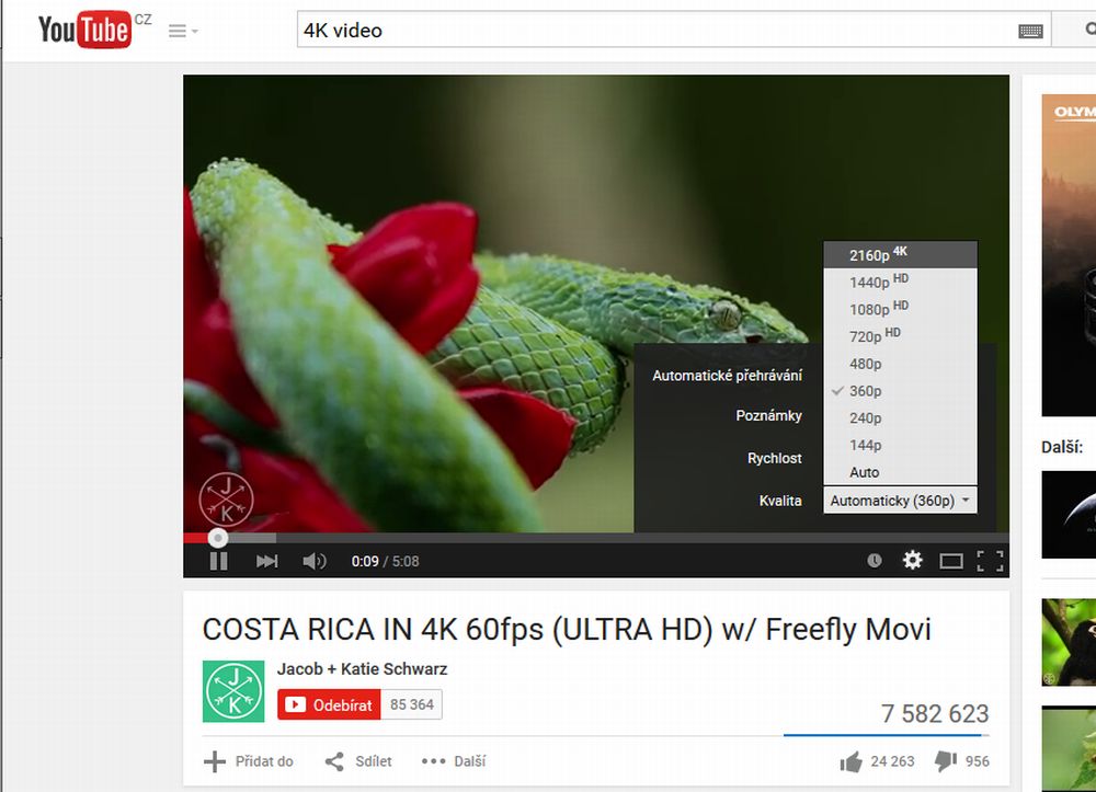 Nakonec jsem pro zkoušení 4K streamingu sáhl po dvou dokumentech. Jak vidíte z obrazovky sejmuté z počítače, Kostarika je opravdu točená ve 4K, nebo je do něj převedená.V tomto případě se ale jednoznačně kloním k tomu prvnímu!