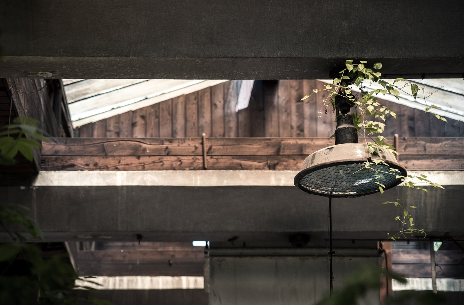 Historické fotky Lihovaru Smíchov