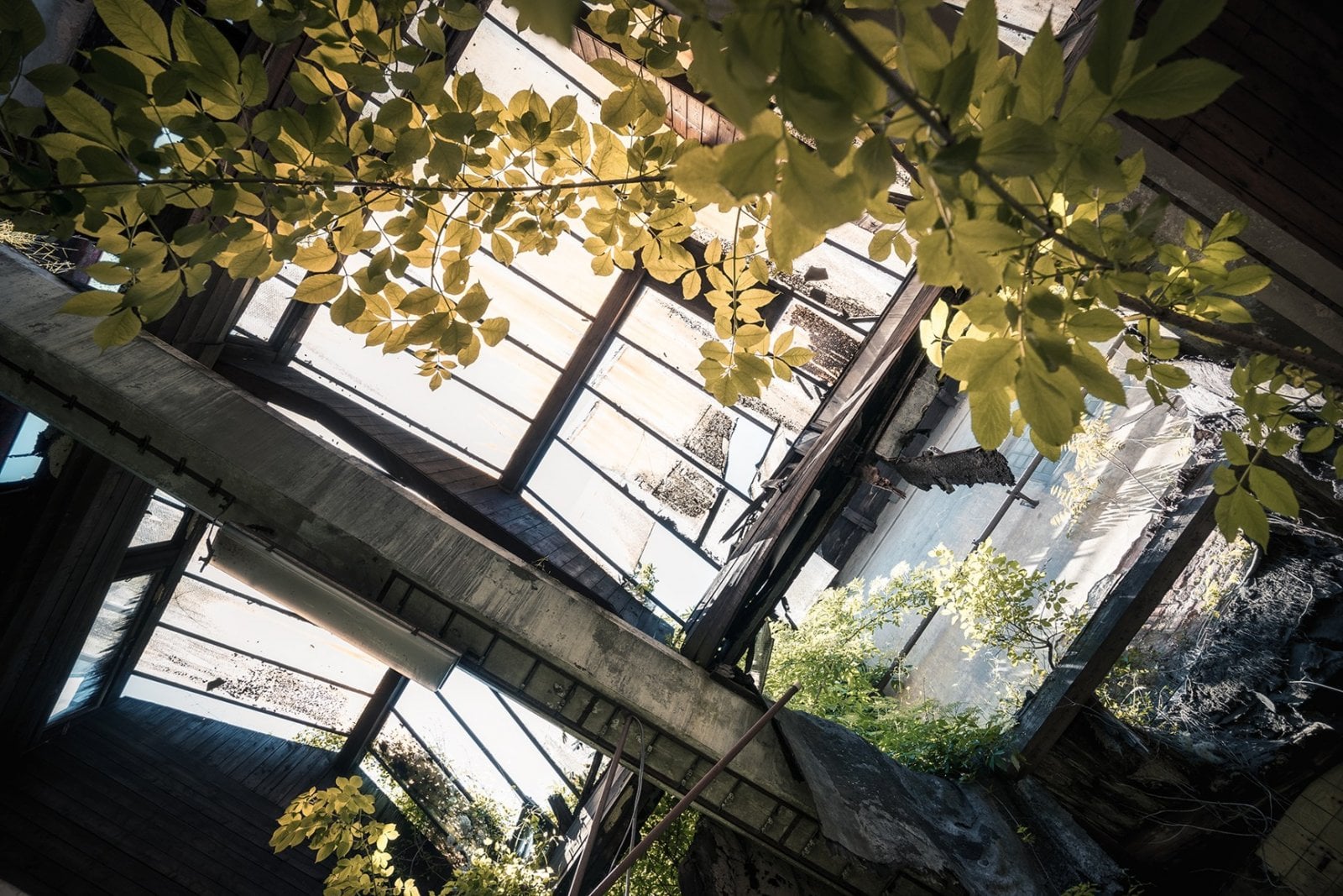 Historické fotky Lihovaru Smíchov