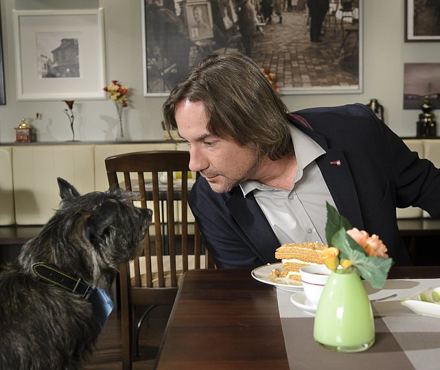 Obchoďák, nový seriál Primy family