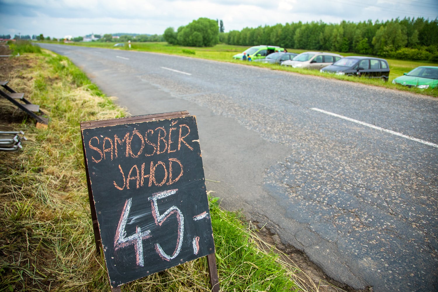 Samosběr jahod