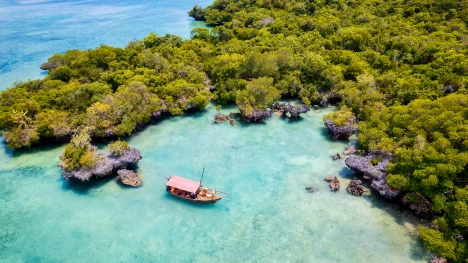 Náhledový obrázek - Sběratel soukromých ostrovů. Spoluzakladatel Googlu Larry Page si koupil další tropický ráj, tentokrát v Portoriku