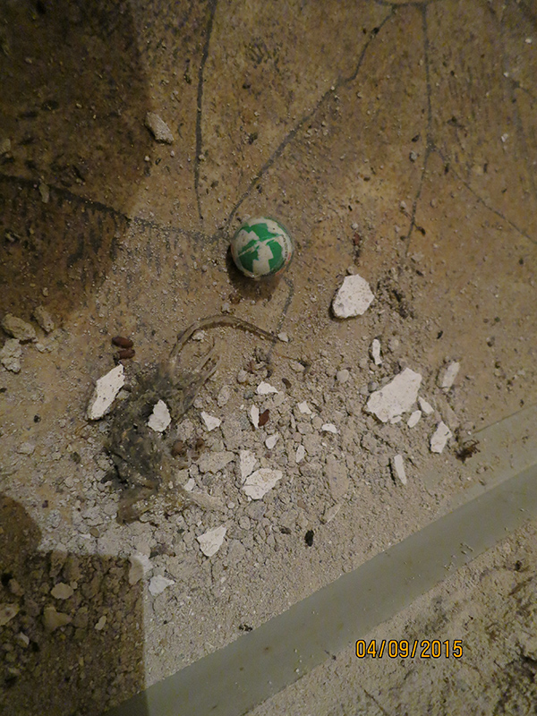 Uzavřené provozovny