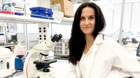 Náhledový obrázek - Tým vědců pod vedením české lékařky Tiché odhalil mechanismus, který umožňuje rakovině unikat imunitnímu systému
