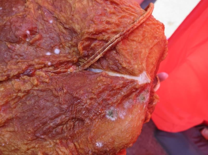 Masné výrobky jsou absolutně nejpočetnější skupina Na pranýři. 50 výrobků ohodnotila inspekce coby nejakostní, falšovaných bylo 39 a celých 101 masných výrobků spadlo do kategorie nebezpečných potravin. Plísně, oslizlý a lepkavý povrch, zápach po kažení, to vše je k mání v našich obchodech.