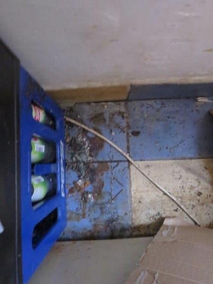 Pavel Pokorný, Pizzerie La Peda, Brno. Zjištěné skutečnosti: Výskyt myšího trusu, potraviny poškozené škůdci, výrazně zanedbaný úklid, nečistoty na stěnách, na podlaze, na regálech či zařízeních, nevhodně skladované potraviny