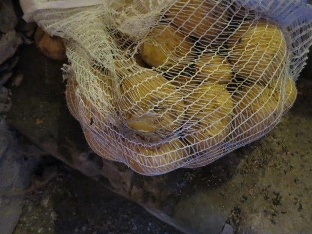 Pavel Pokorný, Pizzerie La Peda, Brno. Zjištěné skutečnosti: Výskyt myšího trusu, potraviny poškozené škůdci, výrazně zanedbaný úklid, nečistoty na stěnách, na podlaze, na regálech či zařízeních, nevhodně skladované potraviny