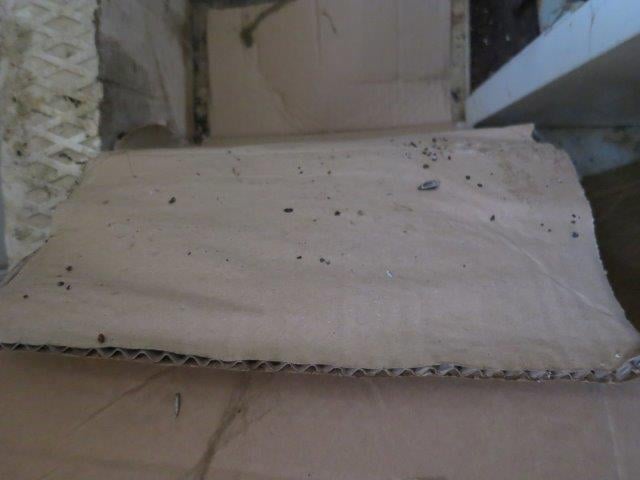 Pavel Pokorný, Pizzerie La Peda, Brno. Zjištěné skutečnosti: Výskyt myšího trusu, potraviny poškozené škůdci, výrazně zanedbaný úklid, nečistoty na stěnách, na podlaze, na regálech či zařízeních, nevhodně skladované potraviny