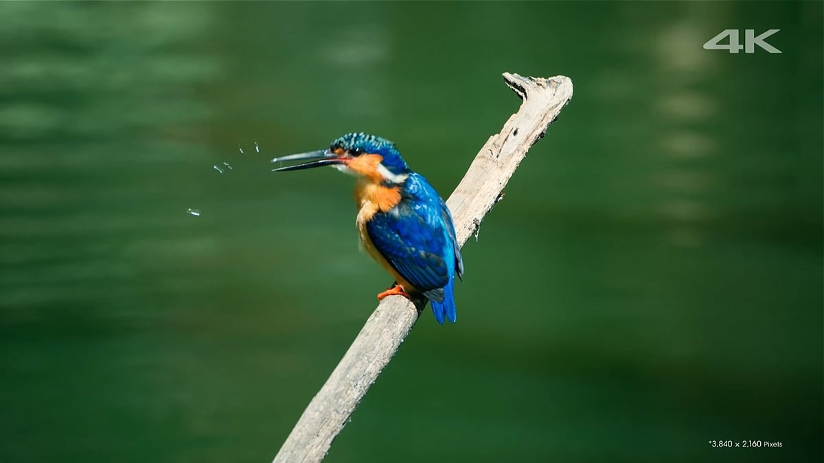 Kodi (nutno nainstalovat)