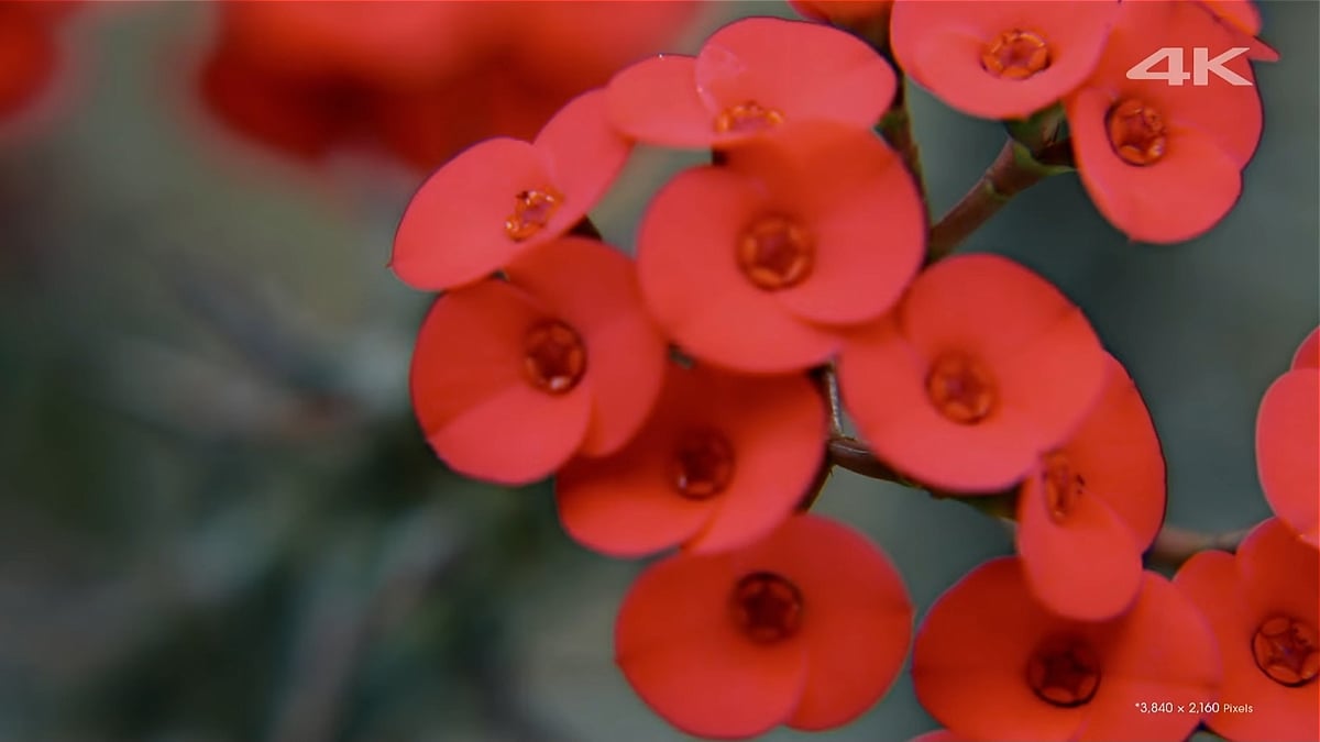 Kodi (nutno nainstalovat)