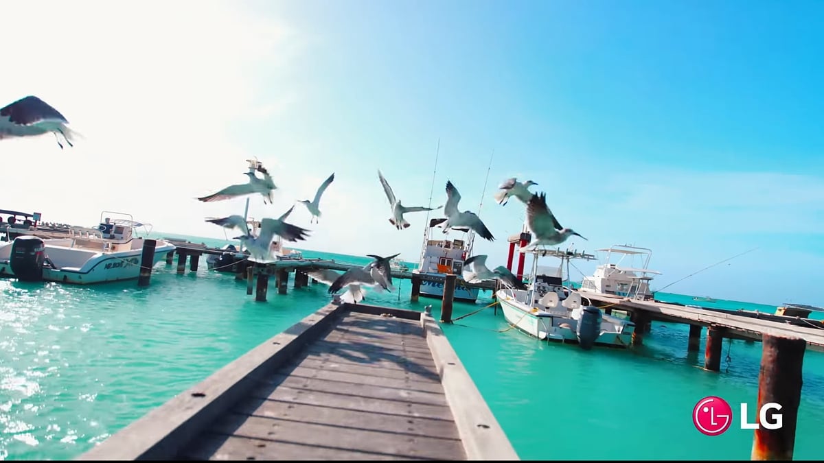 Kodi (nutno nainstalovat)