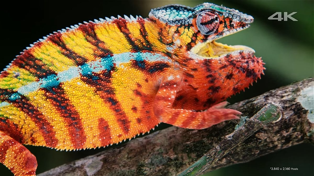 Kodi (nutno nainstalovat)