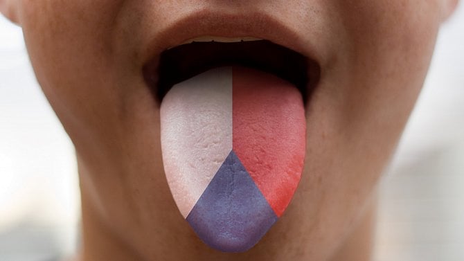 1.2.23 /1x/ Jazyk, ČR, Česko, Česká republika
