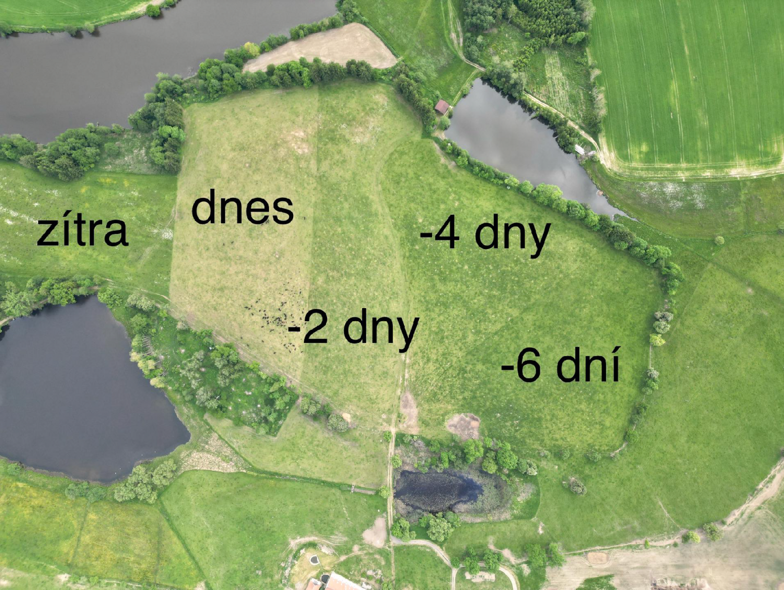 Princip přesouvání stád na farmě Mitrovský Angus