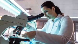 Výzkum v Jihomoravském kraji