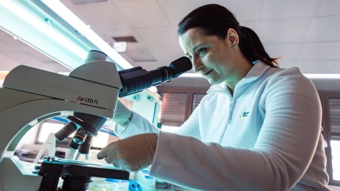 Výzkum v Jihomoravském kraji