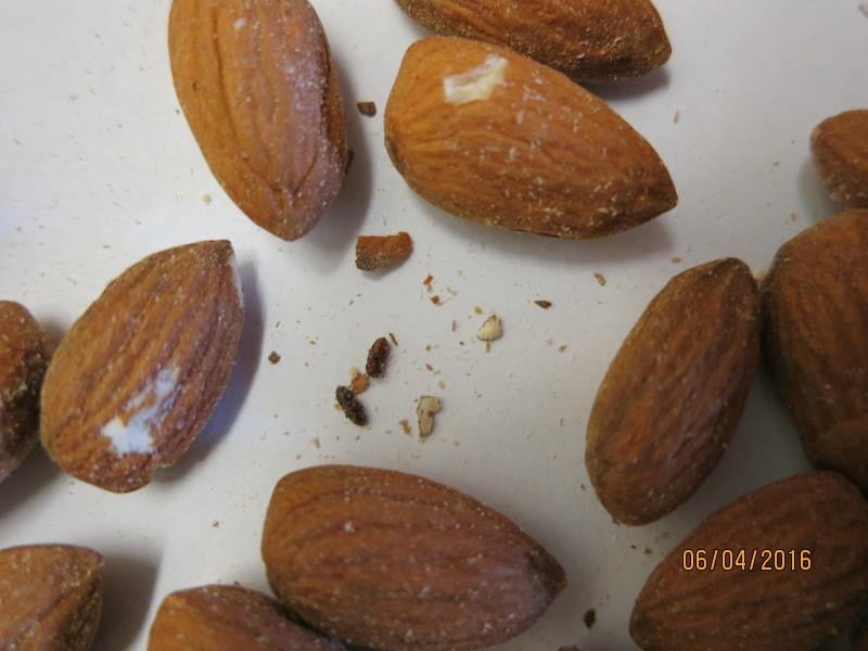 Ořechy, mandle i jedlé kaštany trápí škůdci a plísně, někdy také zapomenuté skořápky.