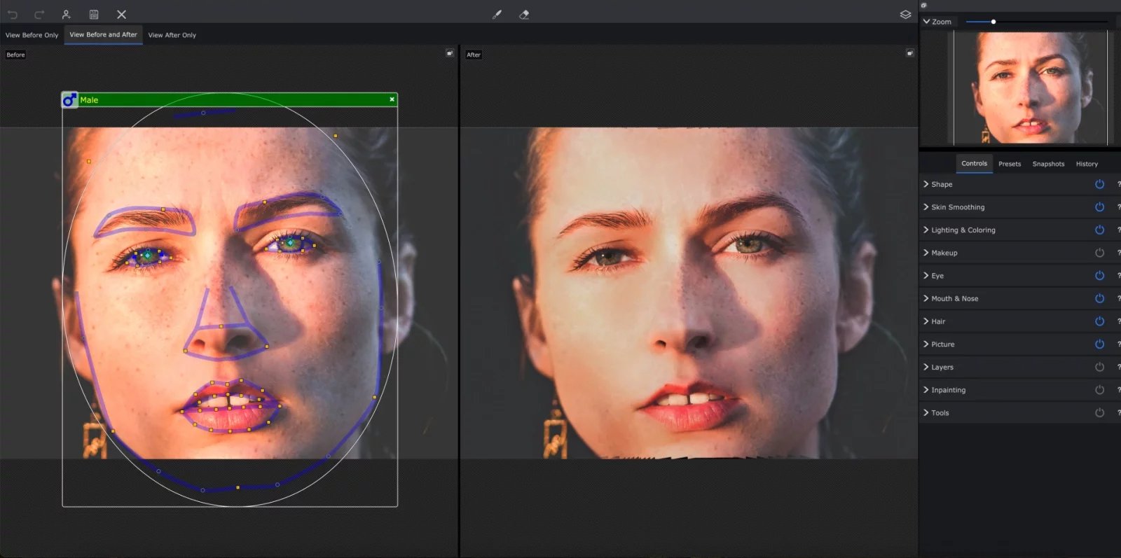 Portrait Pro Studio 24